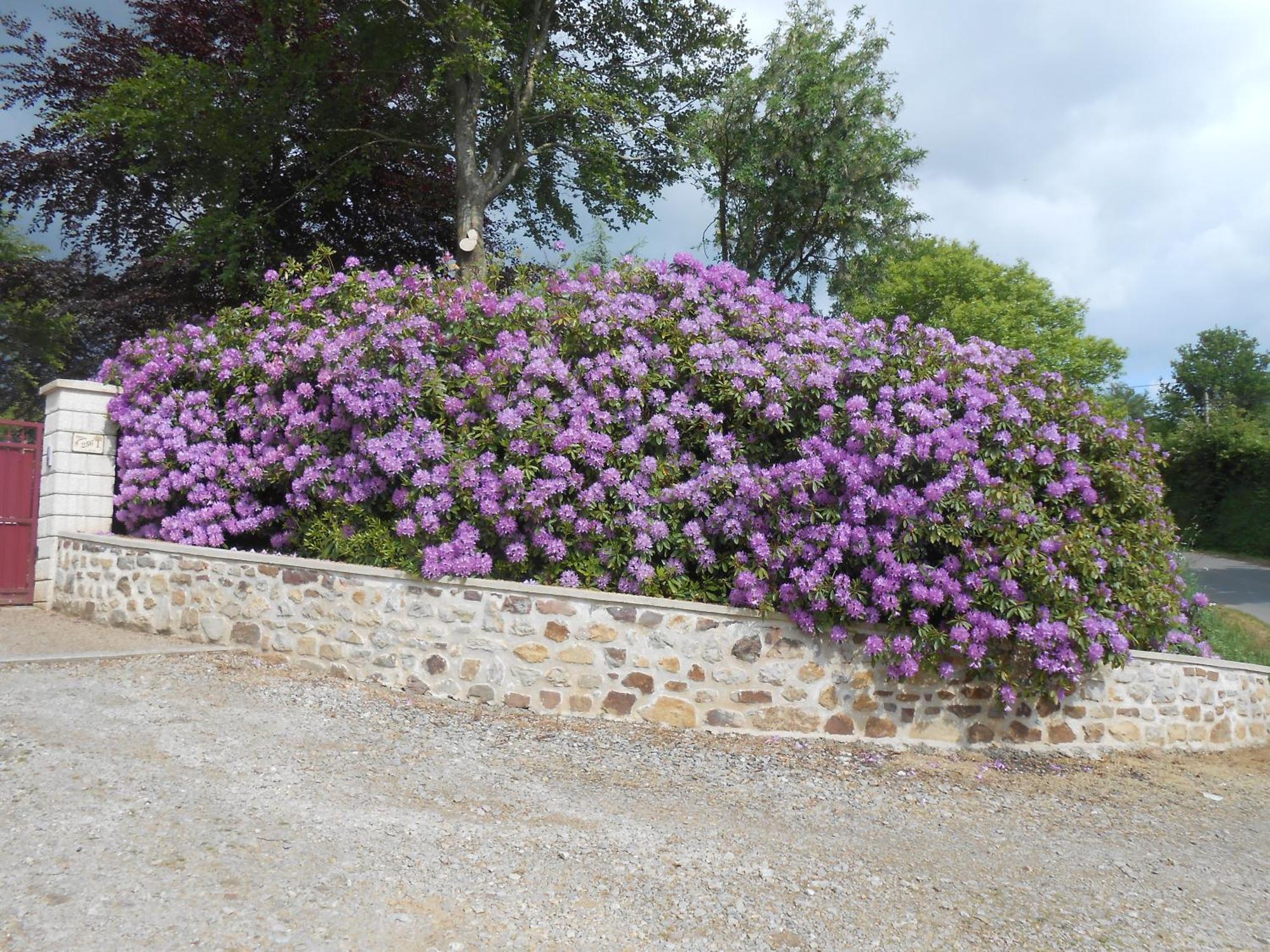 Maison Brix Extérieur photo